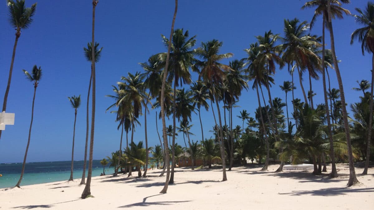 punta cana flights beach