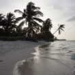 beach in punta cana