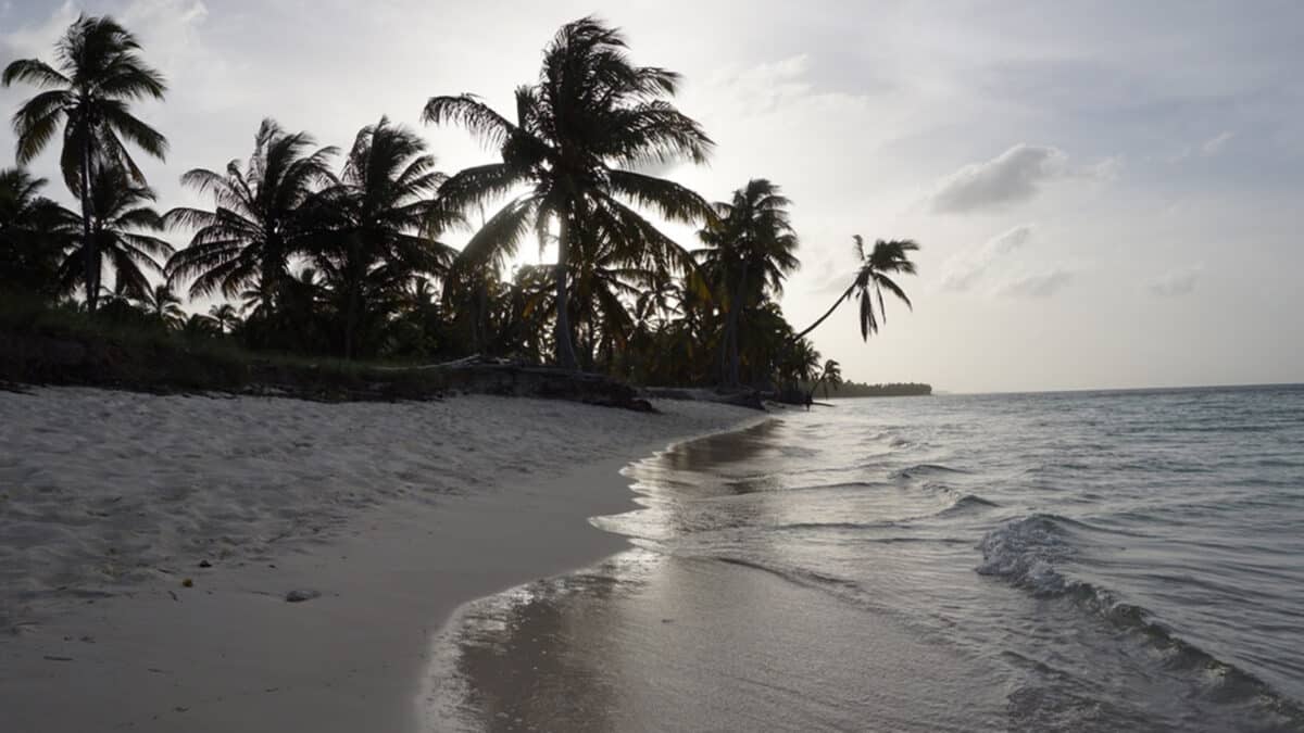 beach in punta cana