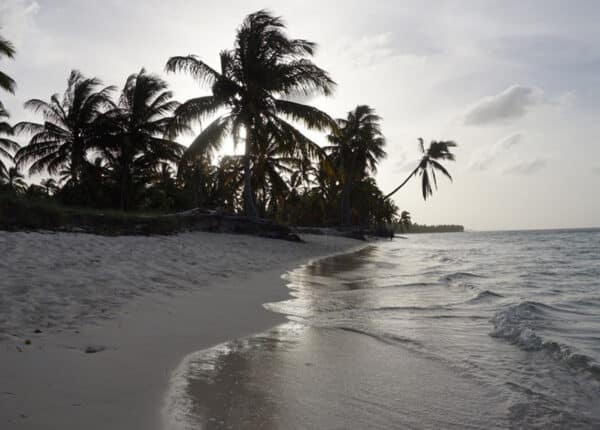 beach in punta cana