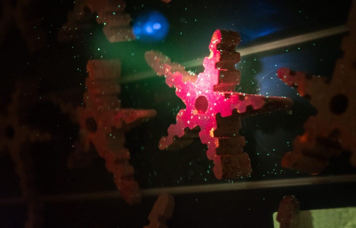 bonaire coral reef restoration