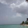 hilton tobago