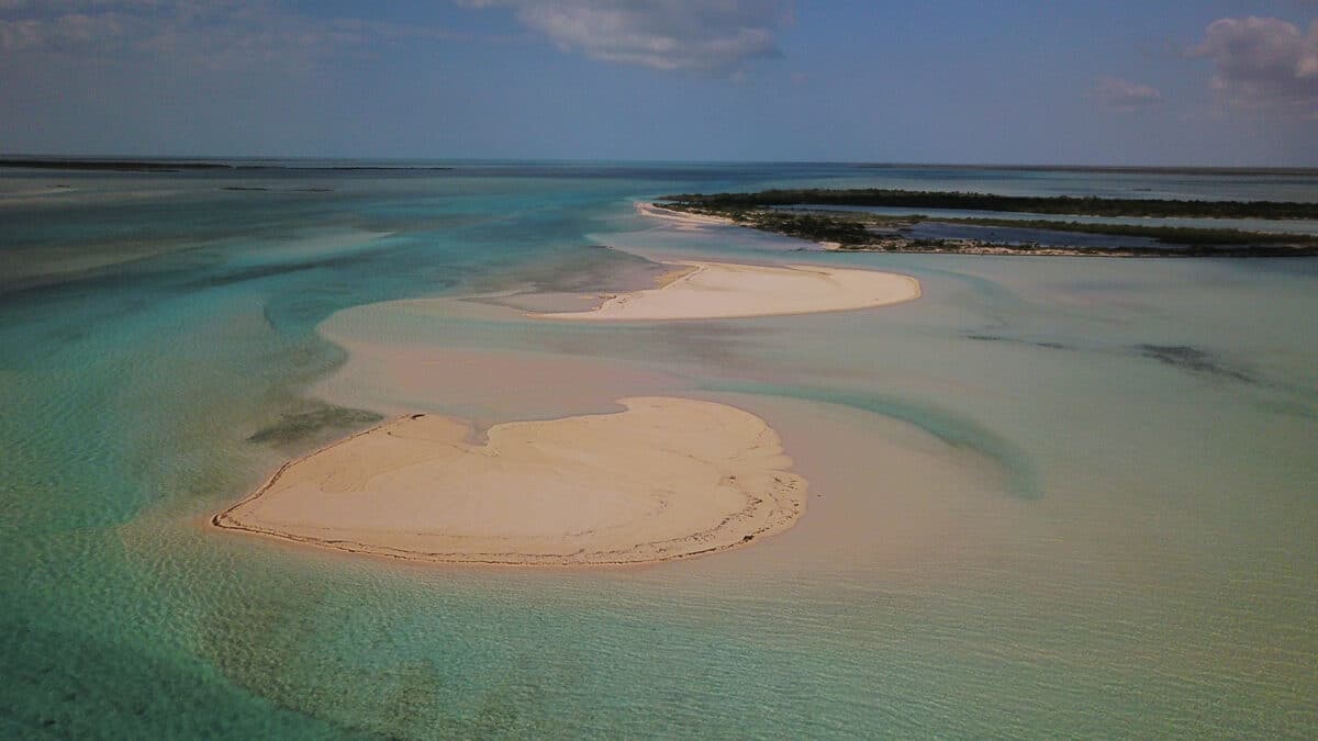 sandbar on an island in the bahamas
