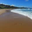 the beach in bathsheba