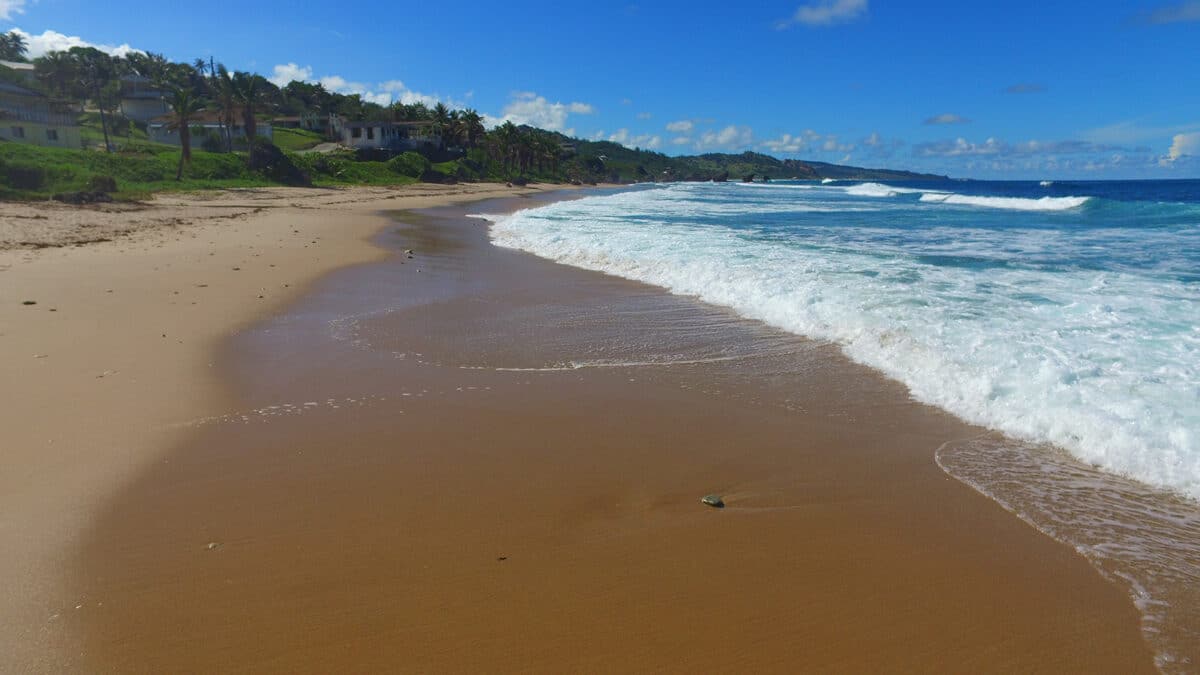 the beach in bathsheba