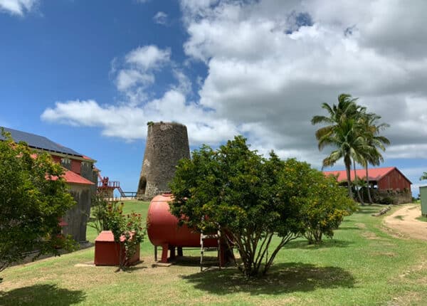 barbados travel this fall