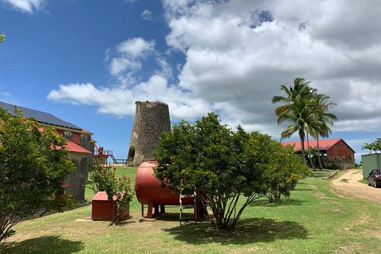 barbados travel this fall