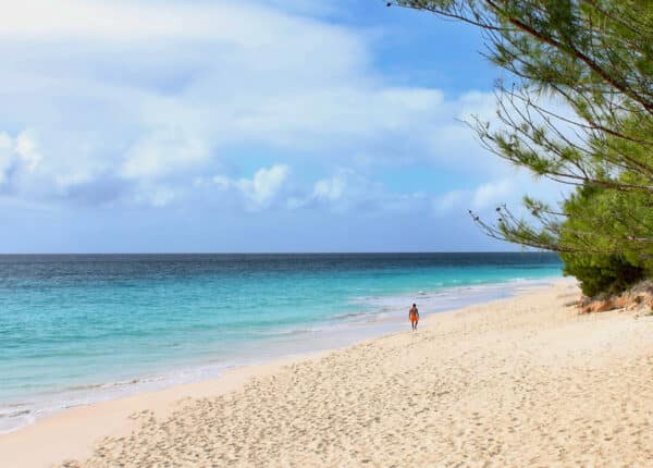Bermuda Nonstop Richmond