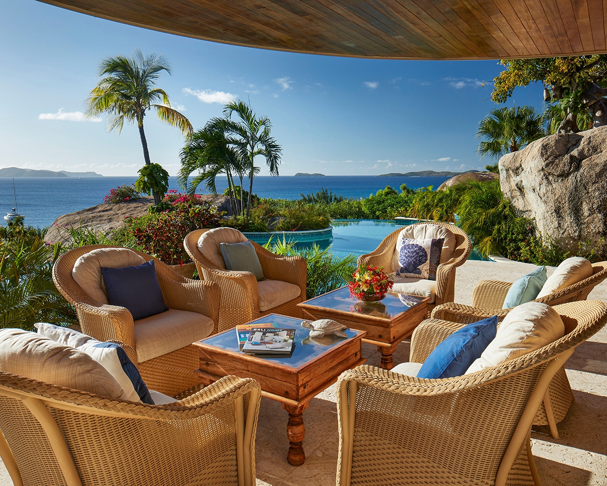 british virgin islands palm trees