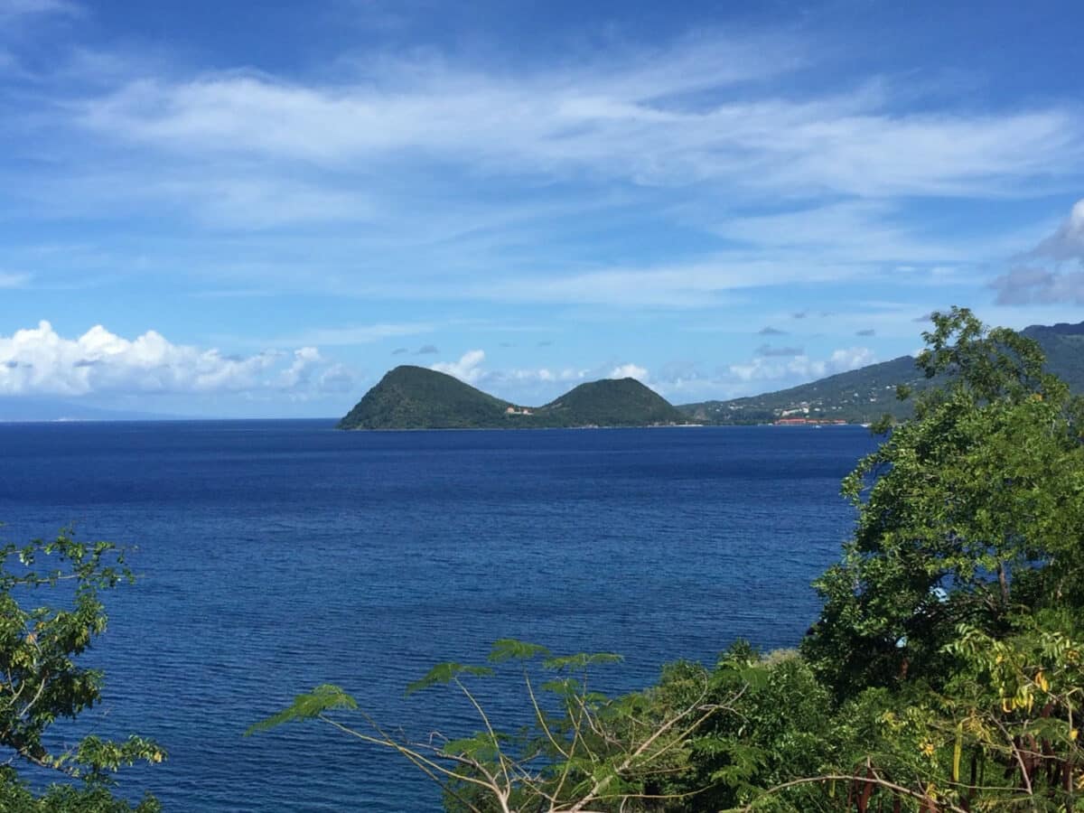 dominica tourism