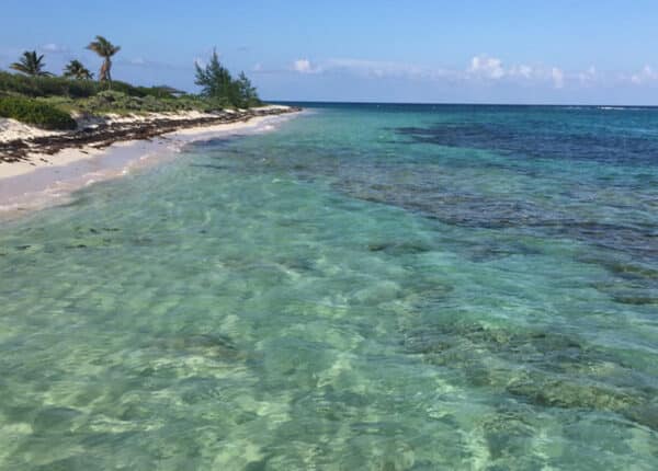 caribbean islands americans