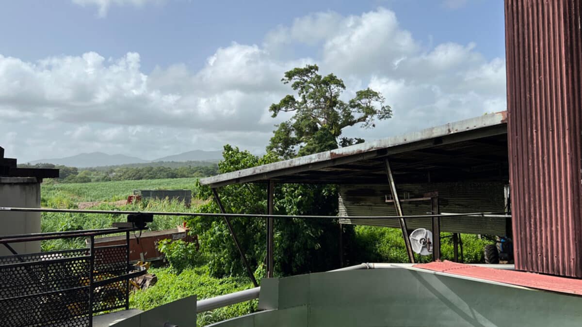 the distillery at reimonenq