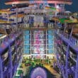royal caribbean focused