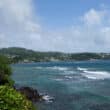 caribbean travel agent program