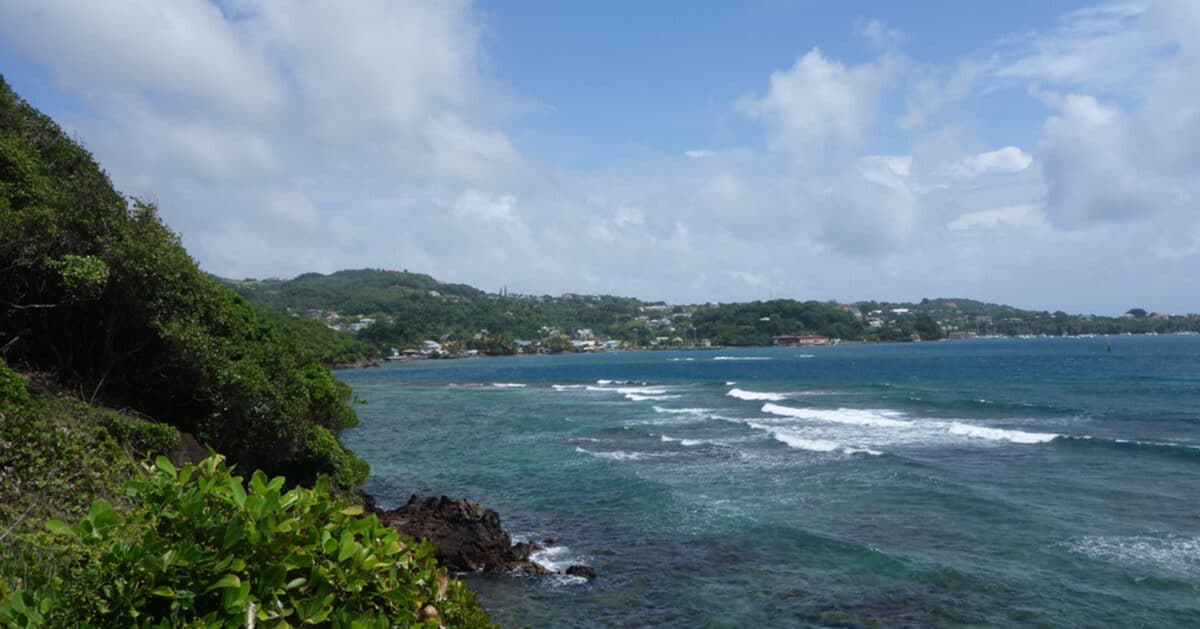 caribbean travel agent program