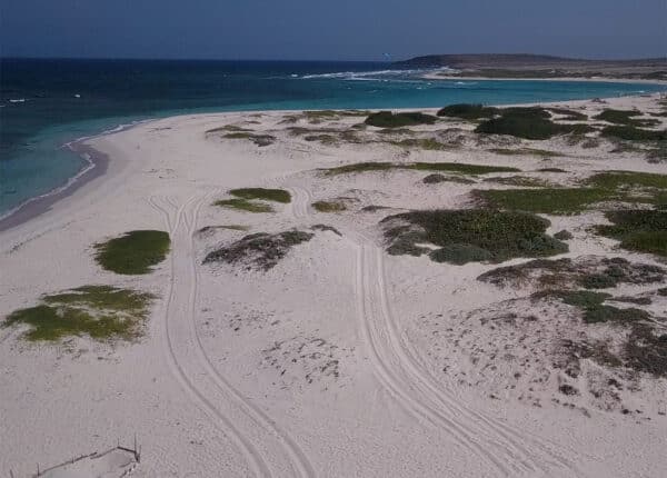 aruba boca grandi