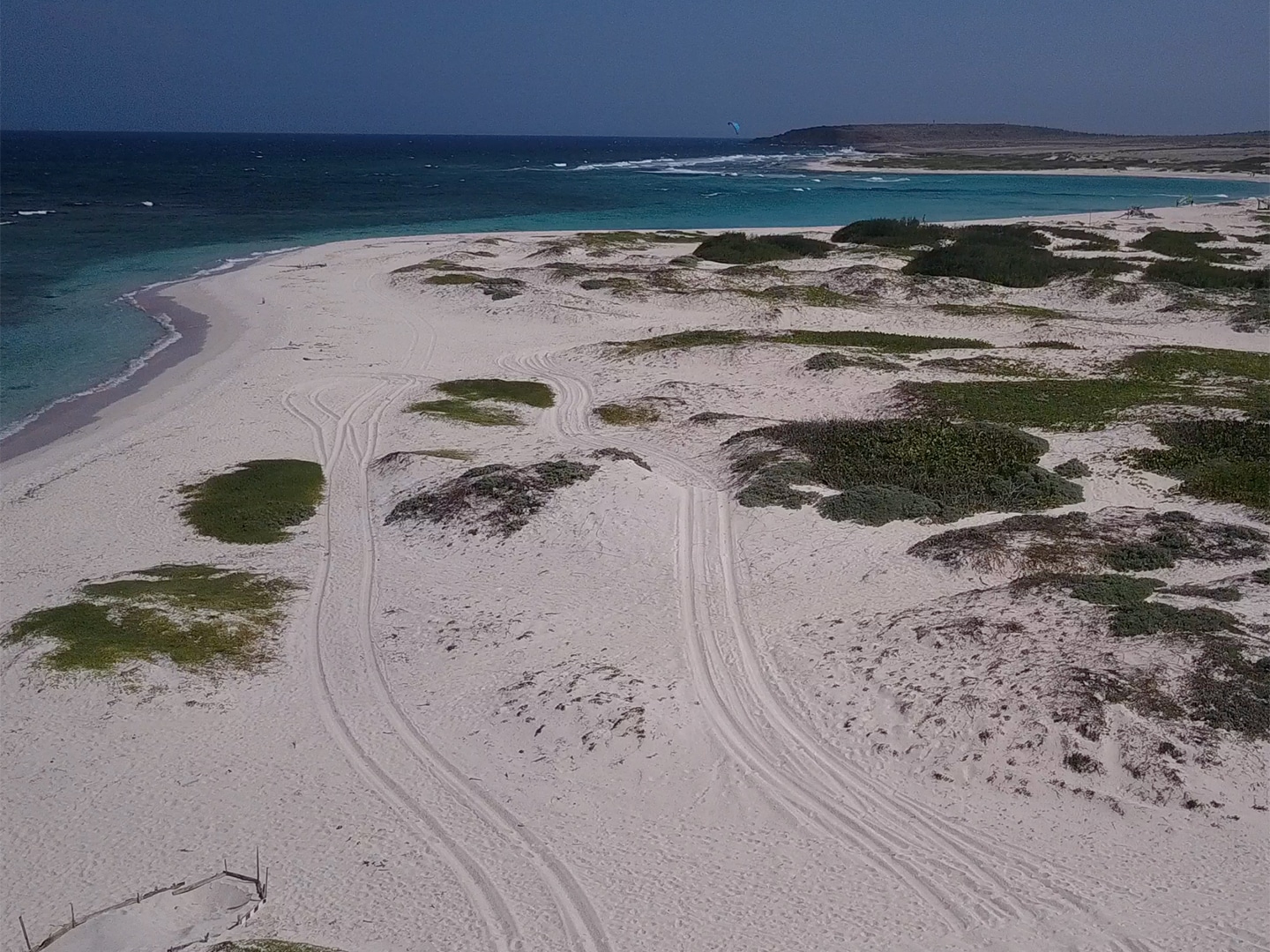 Why Boca Grandi Is the Aruba Beach You Didn’t Know You Needed