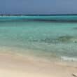 aruba beach flights klm