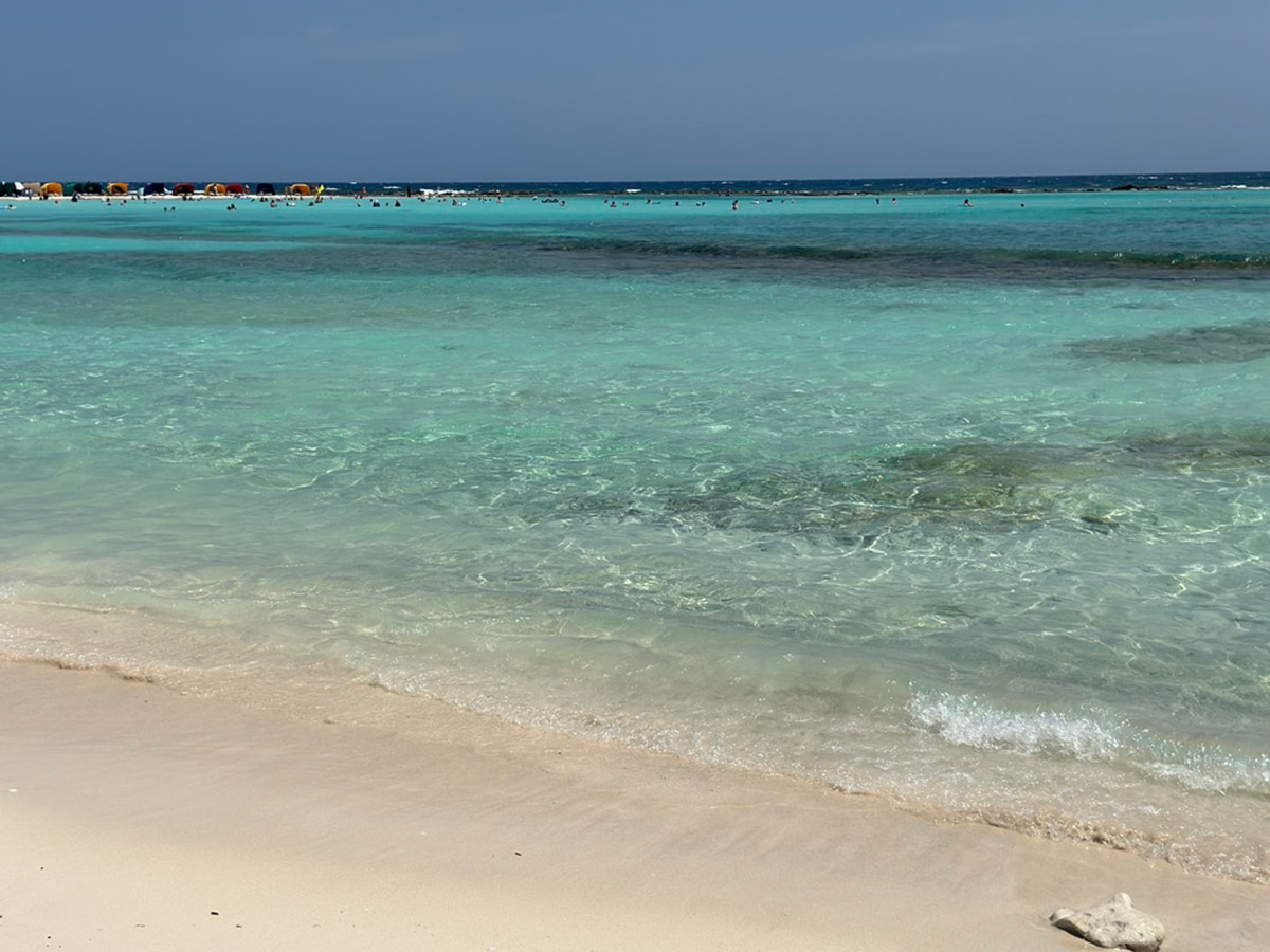 KLM Is Expanding Its Aruba Flights This Winter