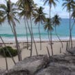 barbados beach bottom bay