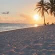 cayman brac beach resort