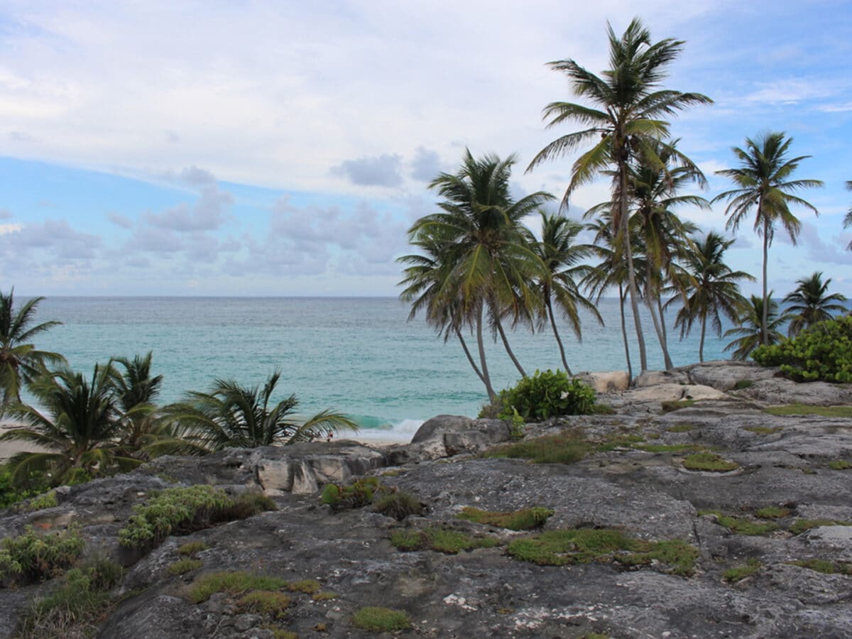 bottom bay
