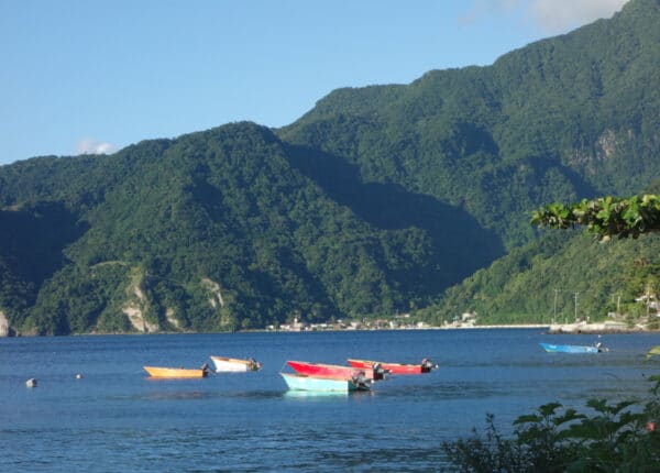 dominica united