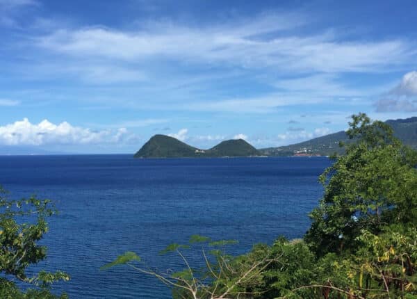 dominica music festival
