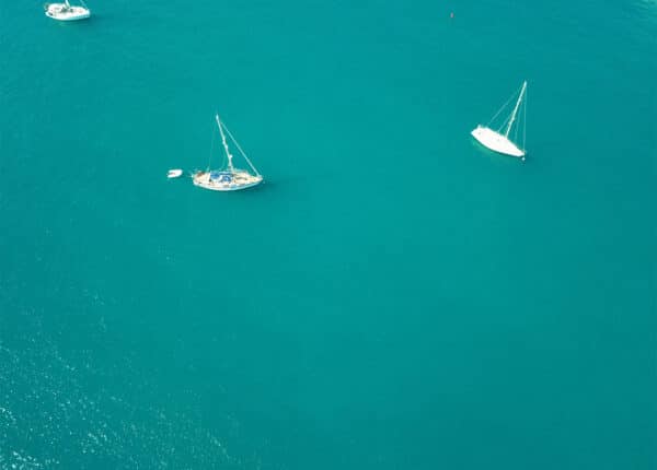 grenada diving festival