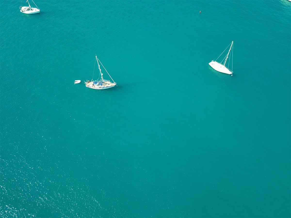 This Grenada Festival Lets You Dive, Learn, and Help Save the Ocean