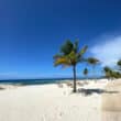 montego bay american airlines