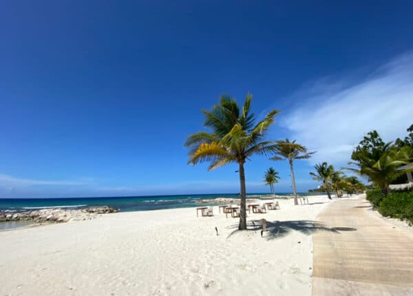 montego bay american airlines