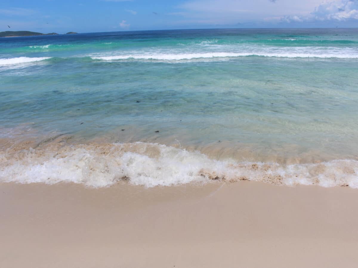 long bay