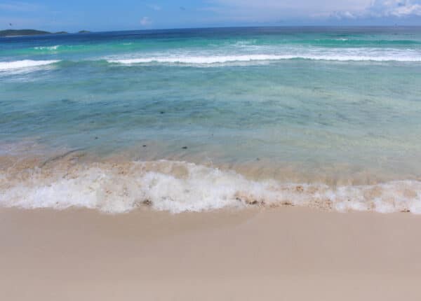long bay