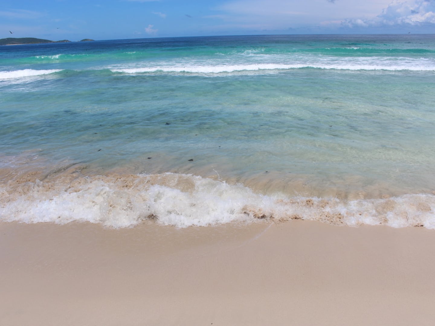 The British Virgin Islands Is Hosting a Celebration of Caribbean Cinema – Caribbean Journal The British Virgin Islands Is Hosting a Celebration of Caribbean Cinema – Caribbean Journal