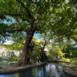 puerto rico american airlines flights winter