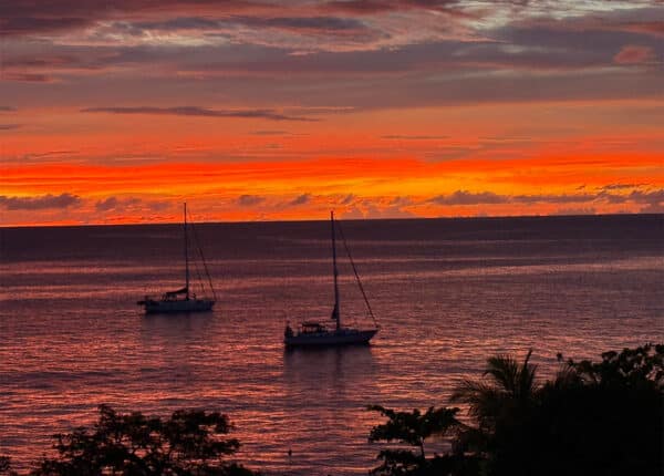 madicreoles martinique