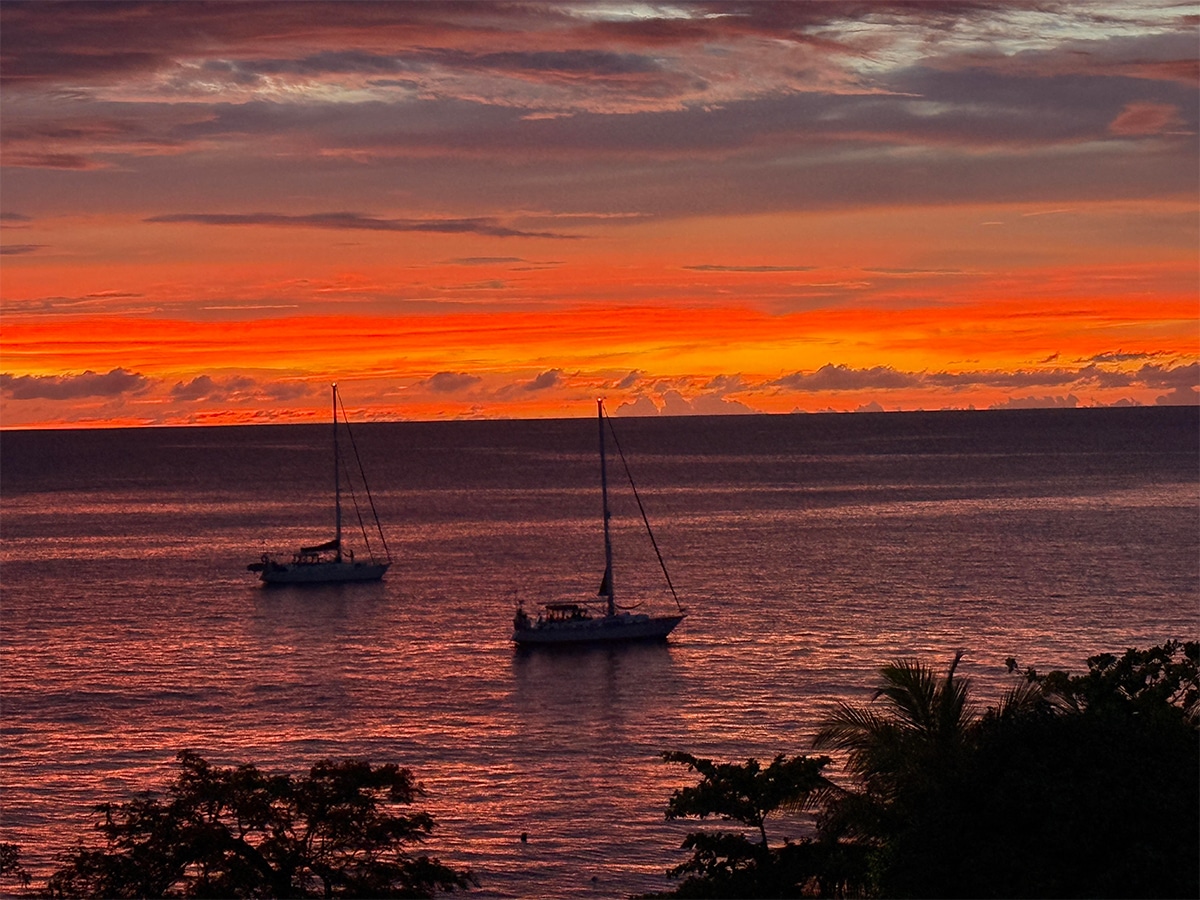 madicreoles martinique