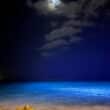 aruba moonlight