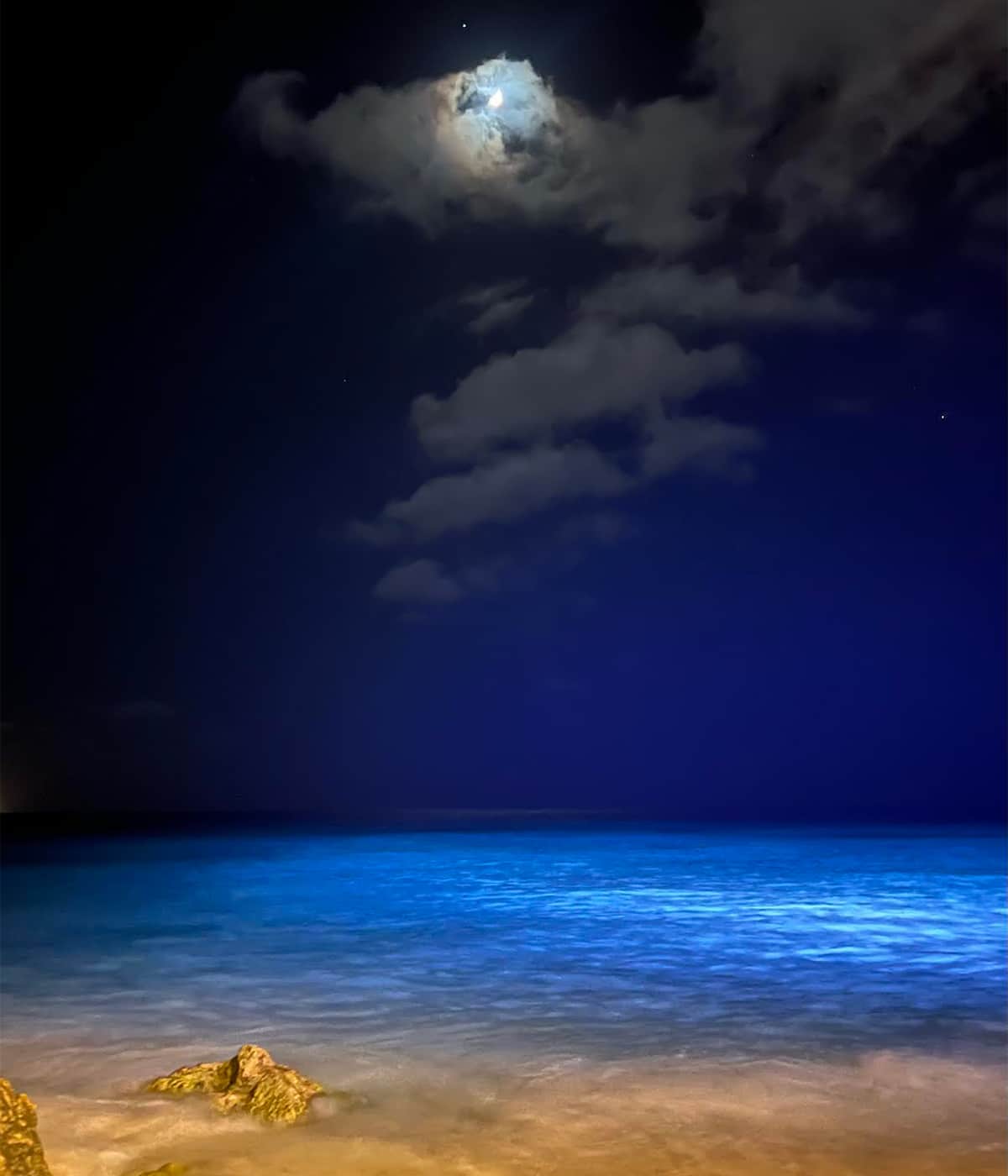 Caribbean Photo of the Week: Moonlight in Aruba