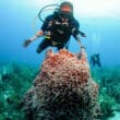 belize dive festival