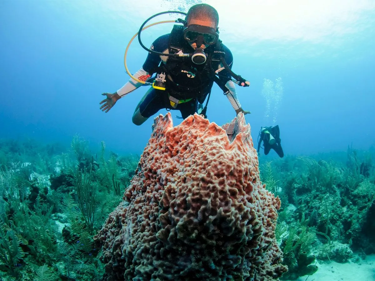 belize dive festival