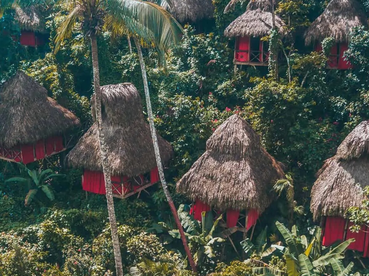 all-inclusive dominican republic treehouse