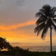 southwest airlines flights montego bay