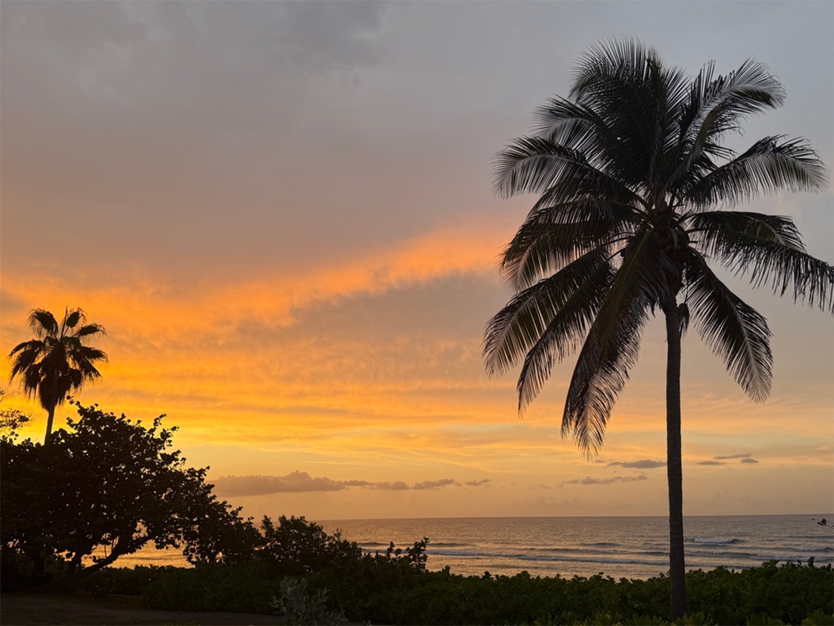 southwest airlines flights montego bay