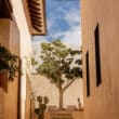 oaxaca boutique hotel
