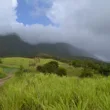 st kitts liamuiga