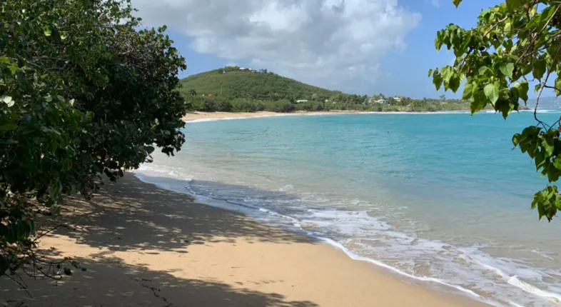 beach in st croix