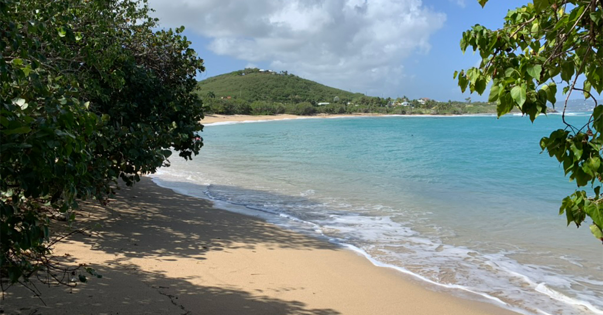 beach in st croix
