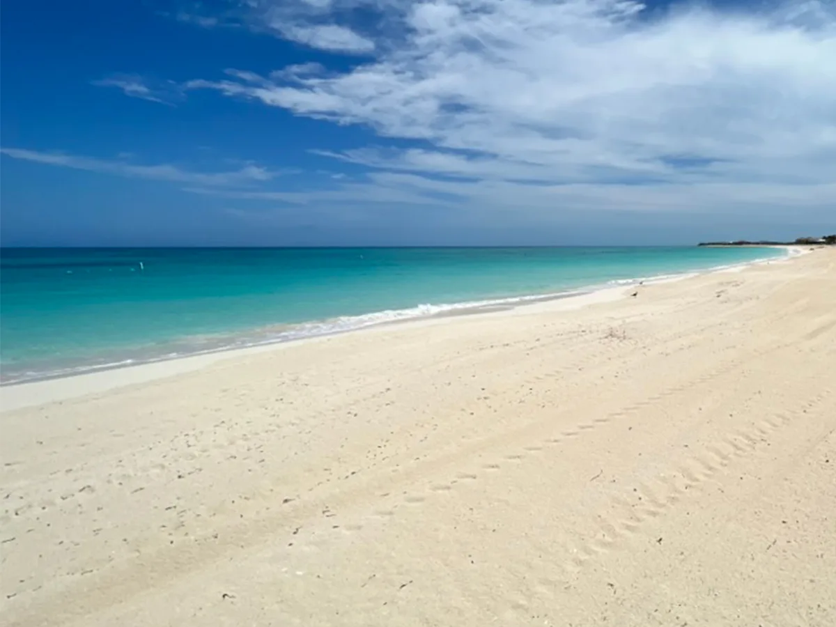 view of beach in bimni
